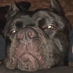 Meet your Posher, Randy